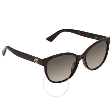 gucci gg0703sk|Gucci Brown Cat.